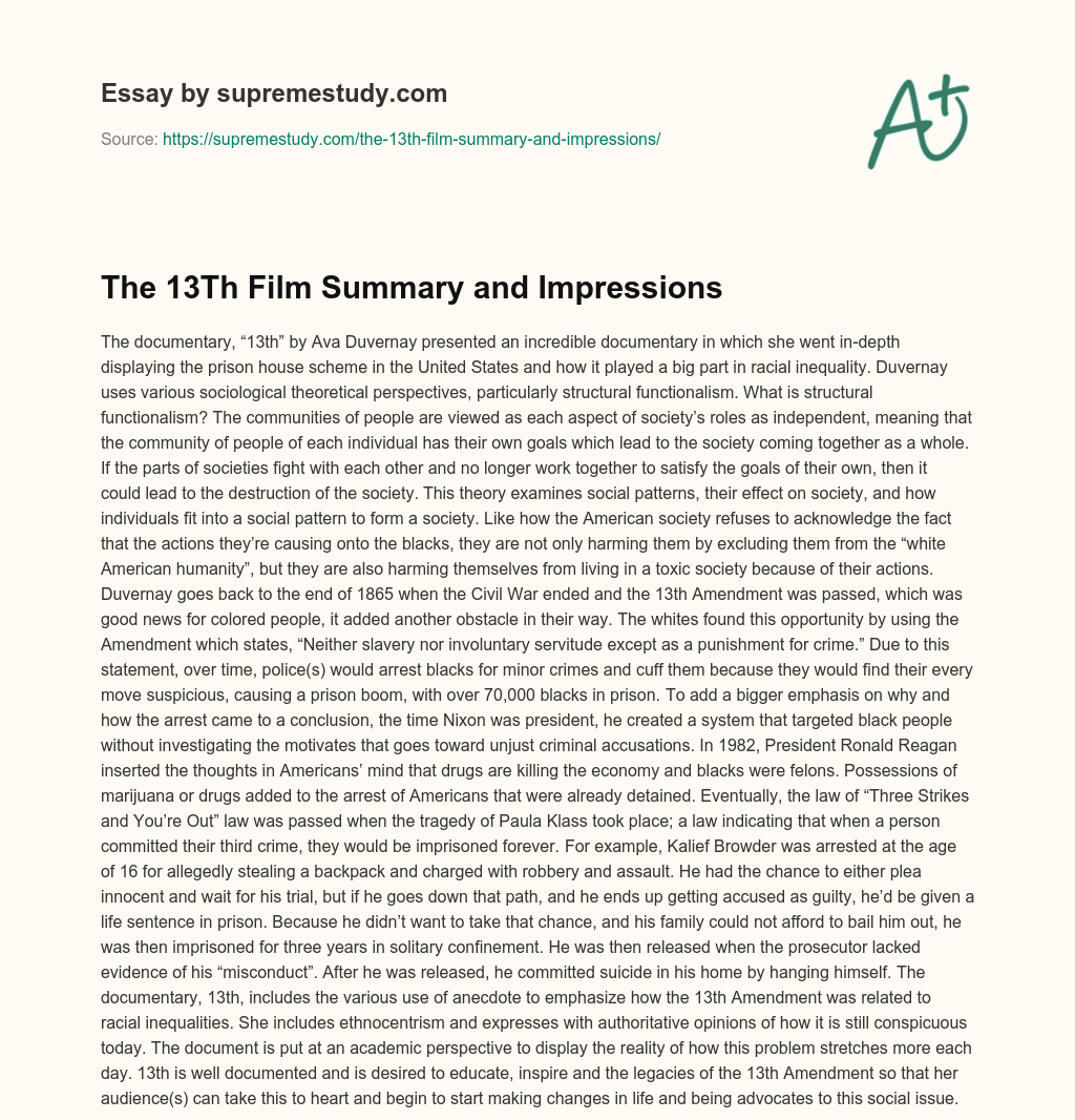 The 13Th Film Summary and Impressions essay