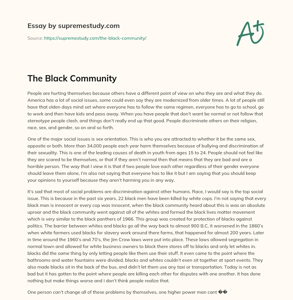 The Black Community essay