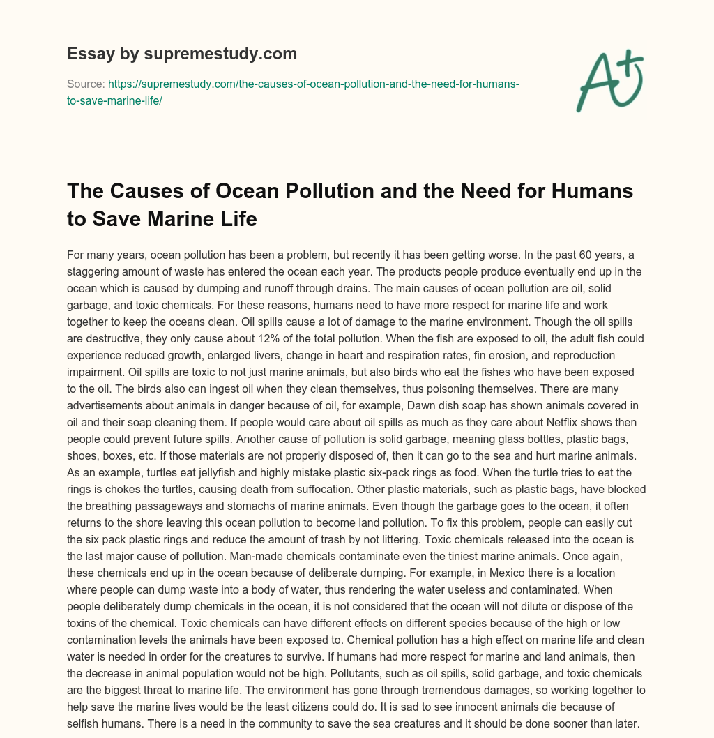 causes and effects of marine pollution essay