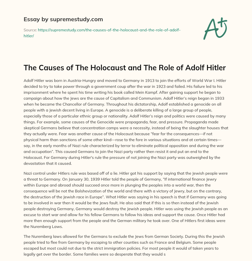 The Causes of The Holocaust and The Role of Adolf Hitler essay