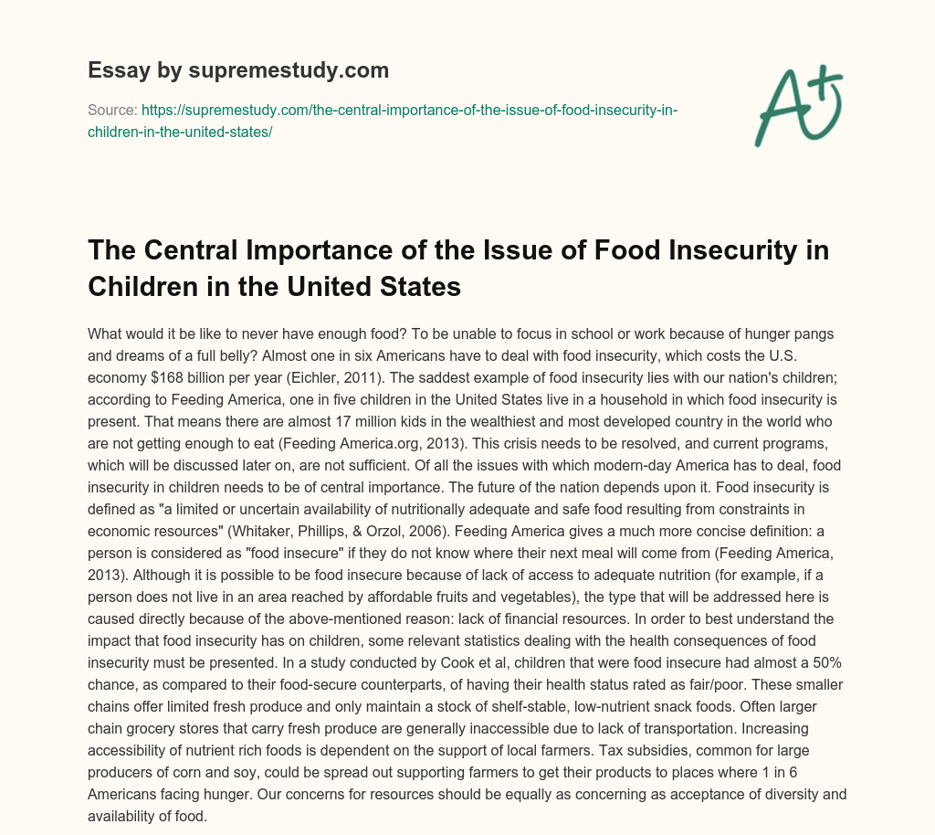 The Central Importance of the Issue of Food Insecurity in Children in the United States essay