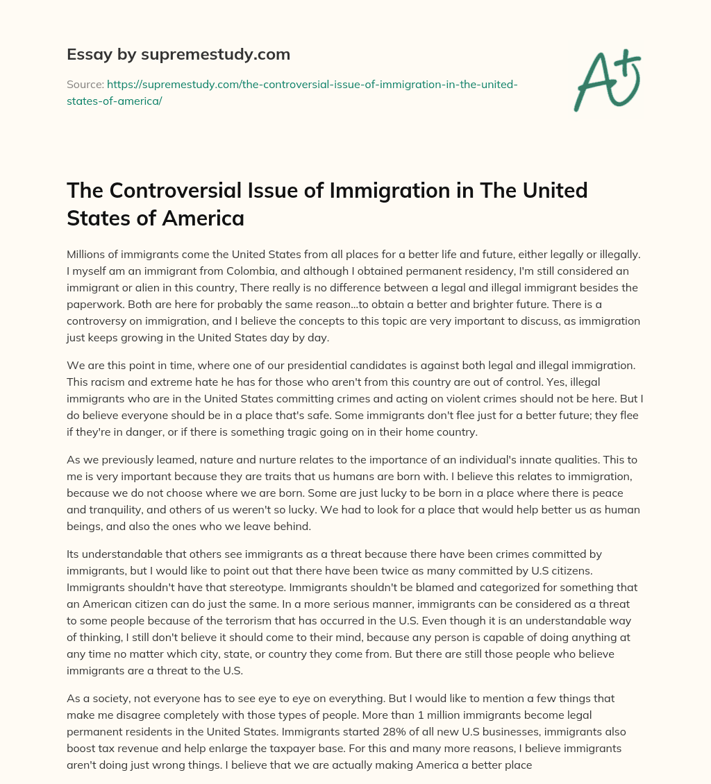 The Controversial Issue of Immigration in The United States of America essay