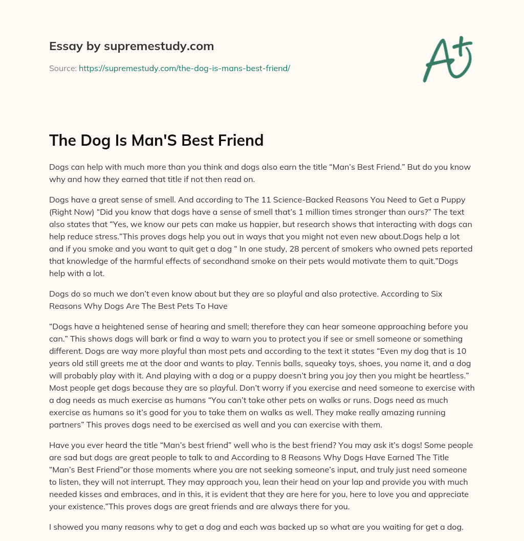 essay about a dog is man's best friend