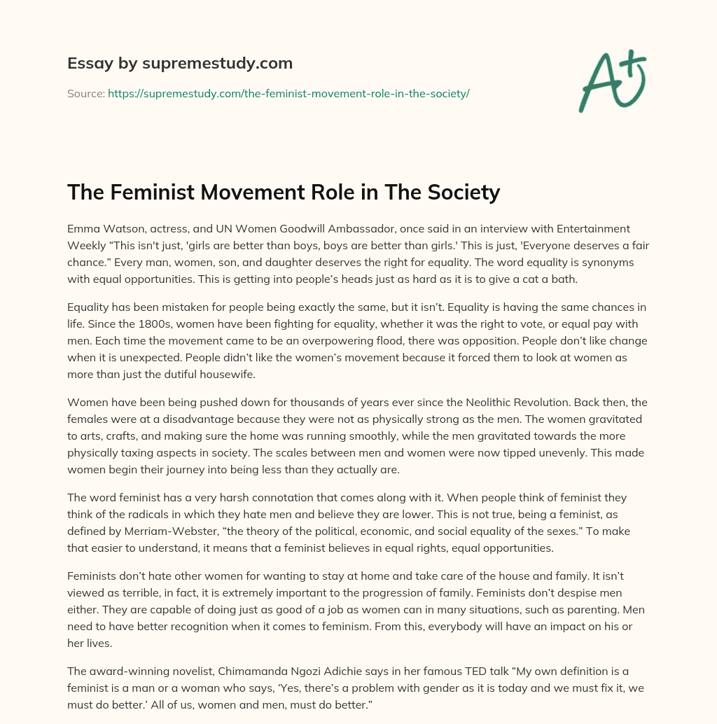 The Feminist Movement Role in The Society essay