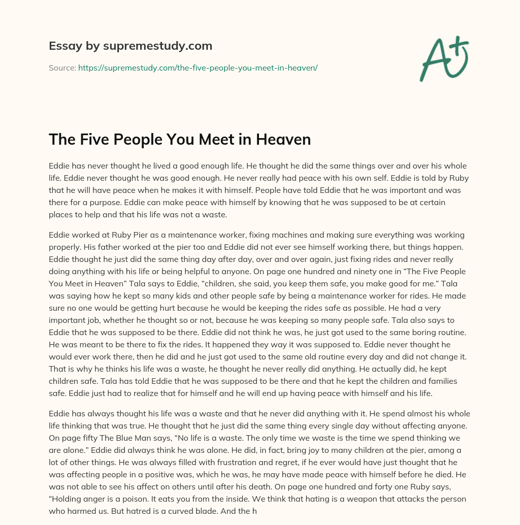 The Five People You Meet in Heaven essay