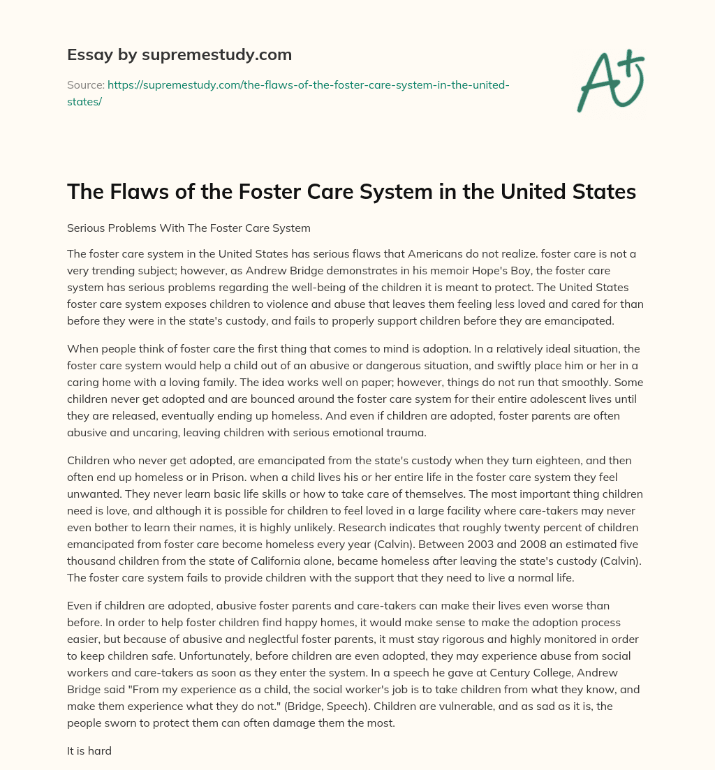 The Flaws of the Foster Care System in the United States essay
