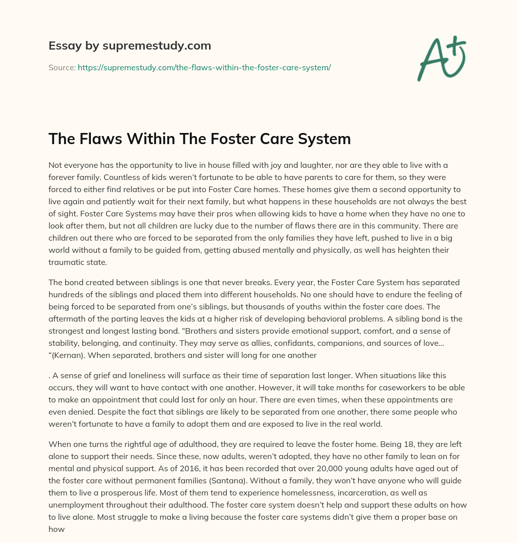 The Flaws Within The Foster Care System essay