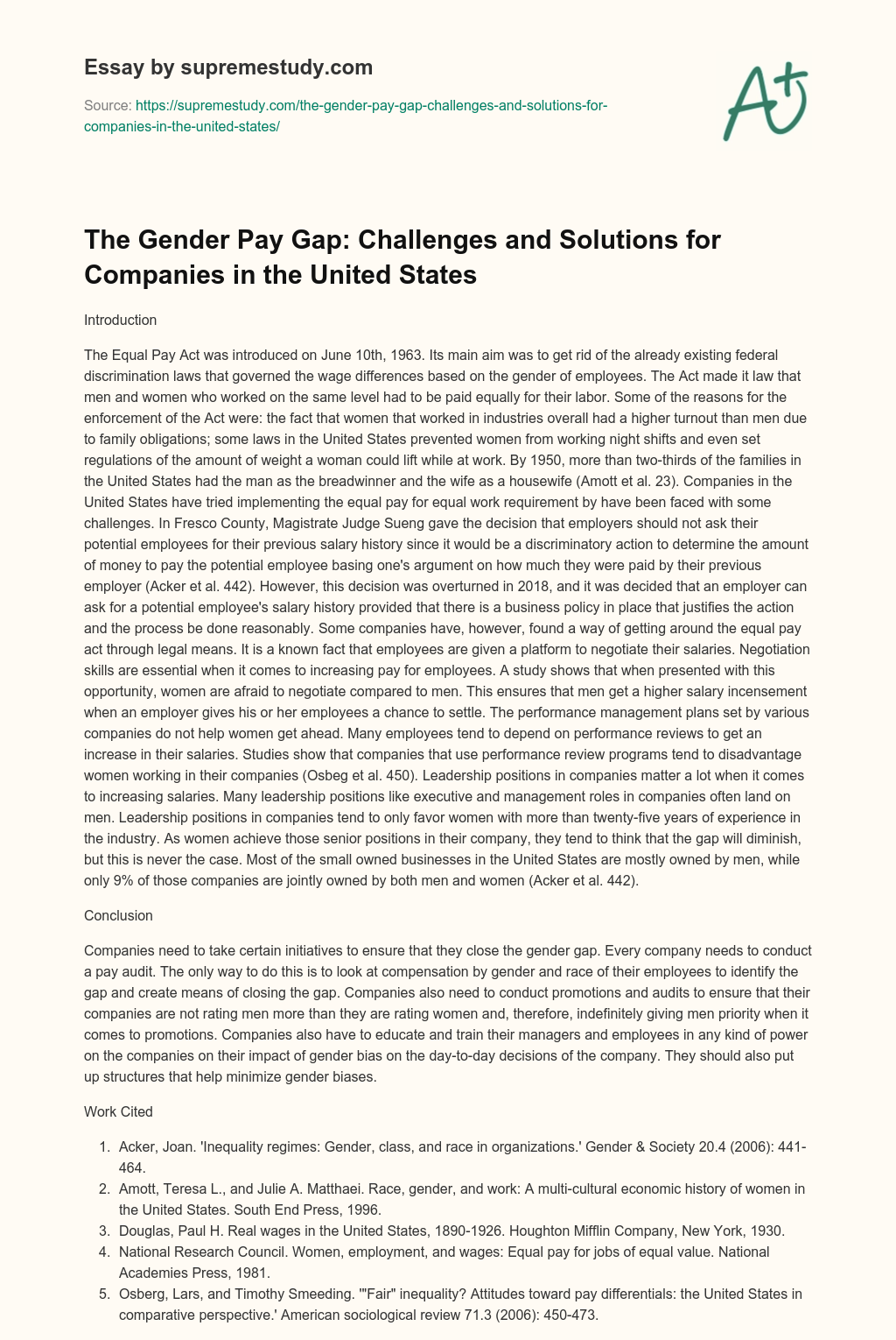 The Gender Pay Gap: Challenges and Solutions for Companies in the United States essay