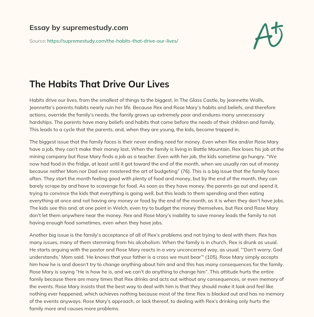 The Habits That Drive Our Lives  essay
