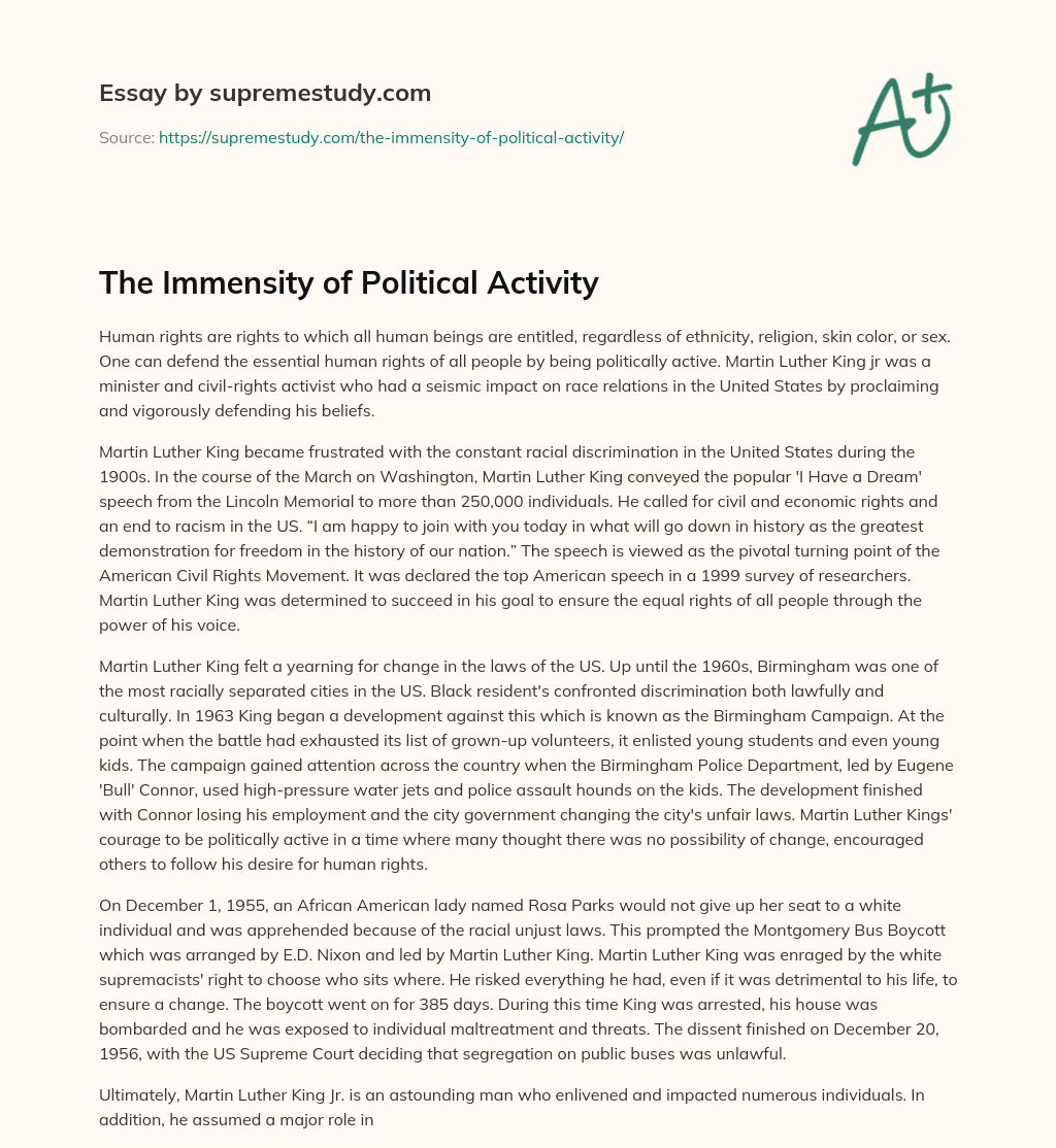 The Immensity of Political Activity  essay