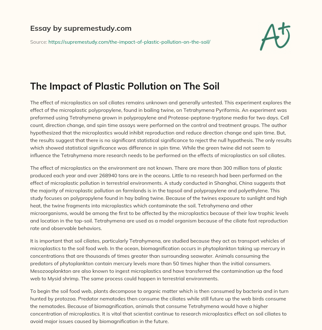 The Impact of Plastic Pollution on The Soil essay