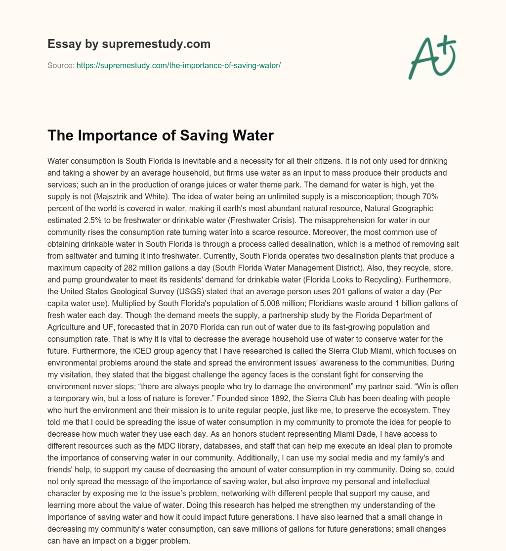 The Importance of Saving Water essay