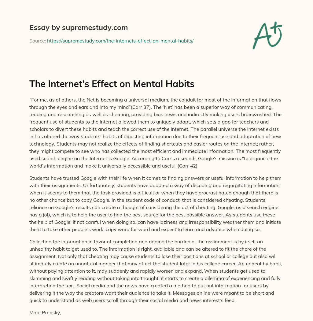 The Internet’s Effect on Mental Habits essay