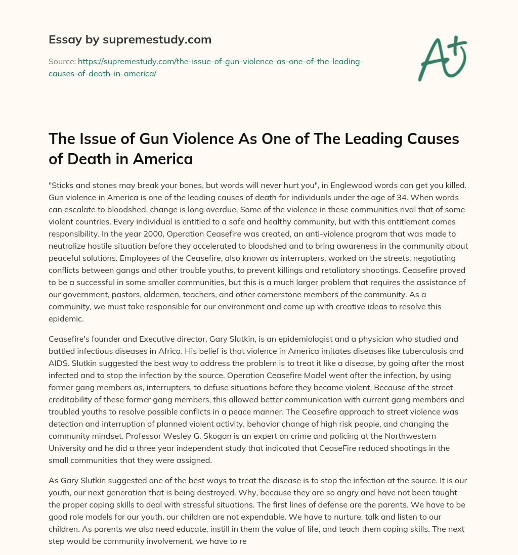 The Issue of Gun Violence As One of The Leading Causes of Death in America essay