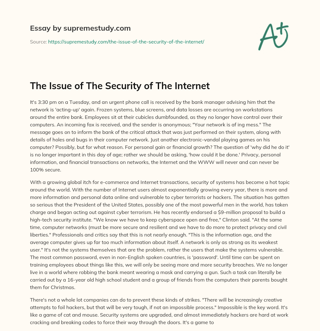 The Issue of The Security of The Internet essay