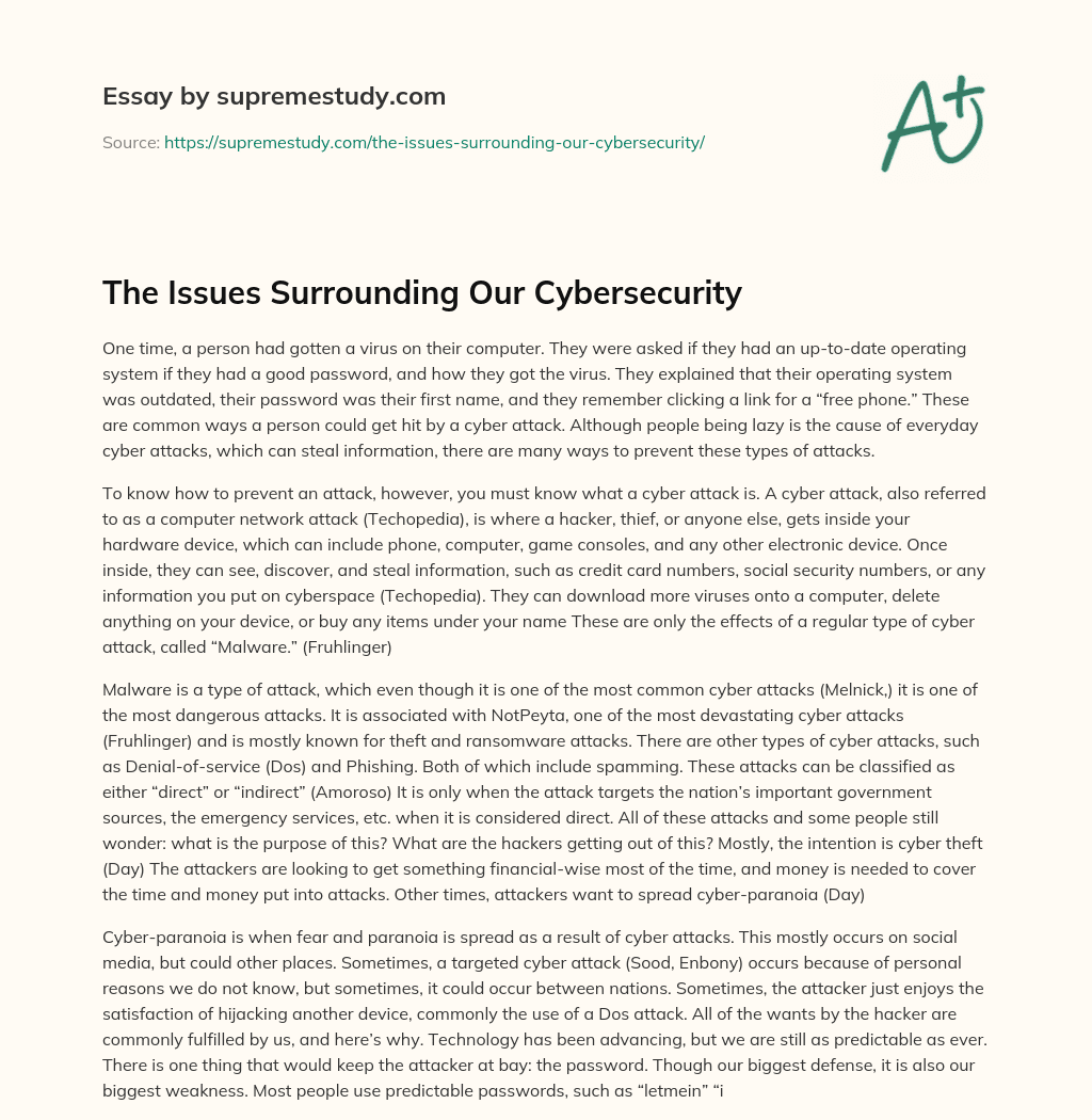 The Issues Surrounding Our Cybersecurity essay