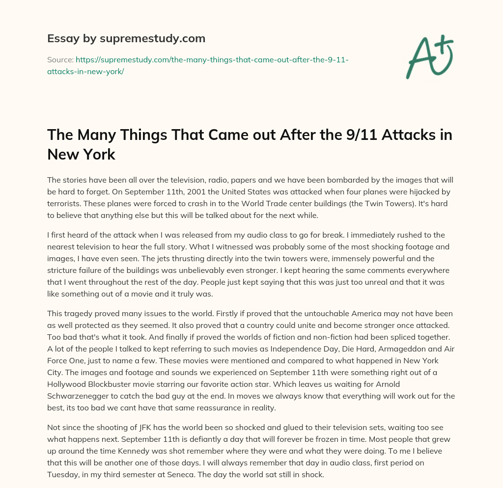 The Many Things That Came out After the 9/11 Attacks in New York essay