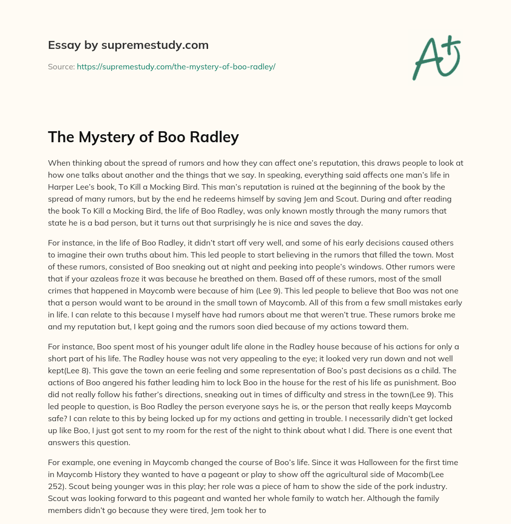 The Mystery of Boo Radley essay