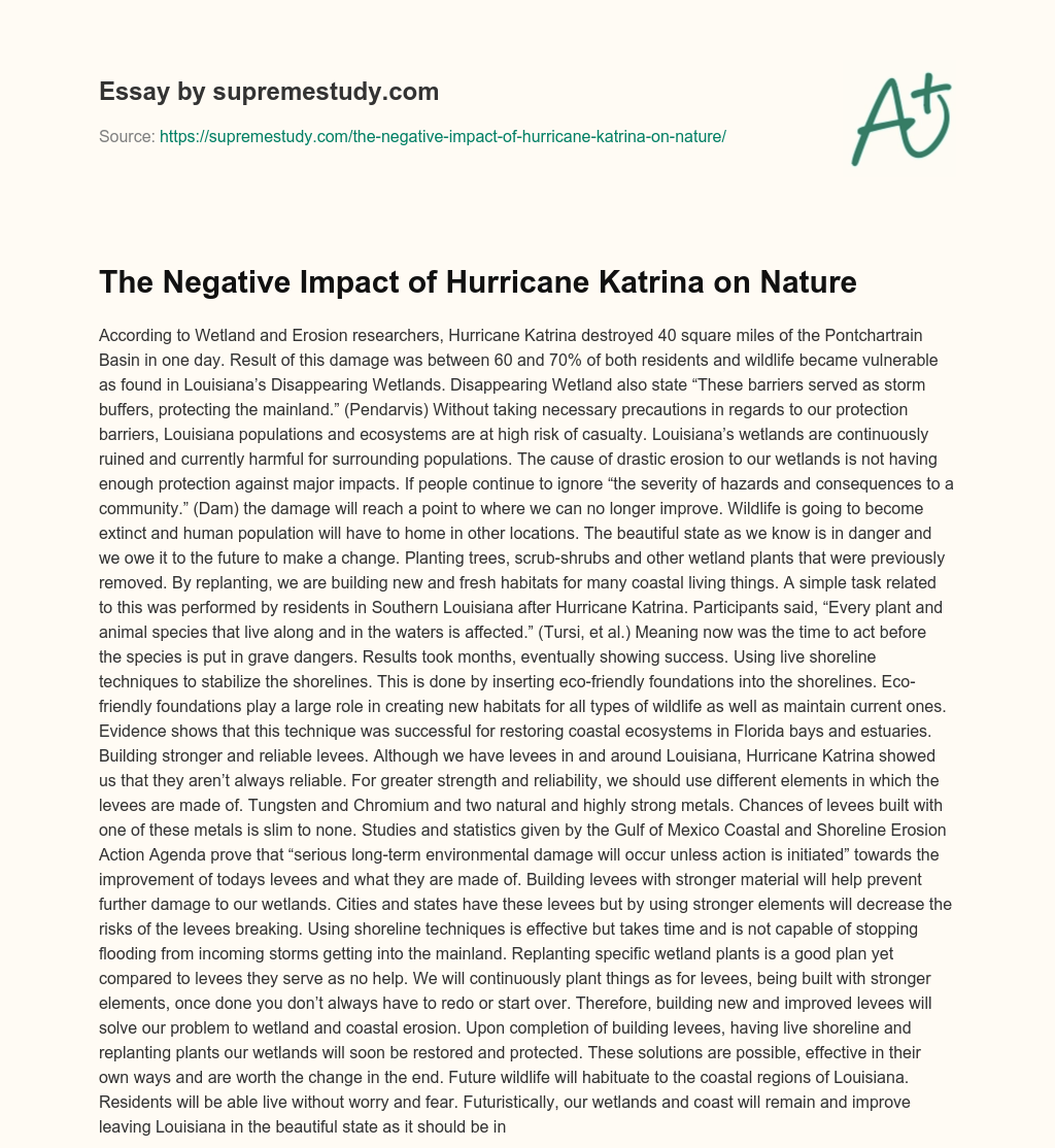 The Negative Impact of Hurricane Katrina on Nature essay