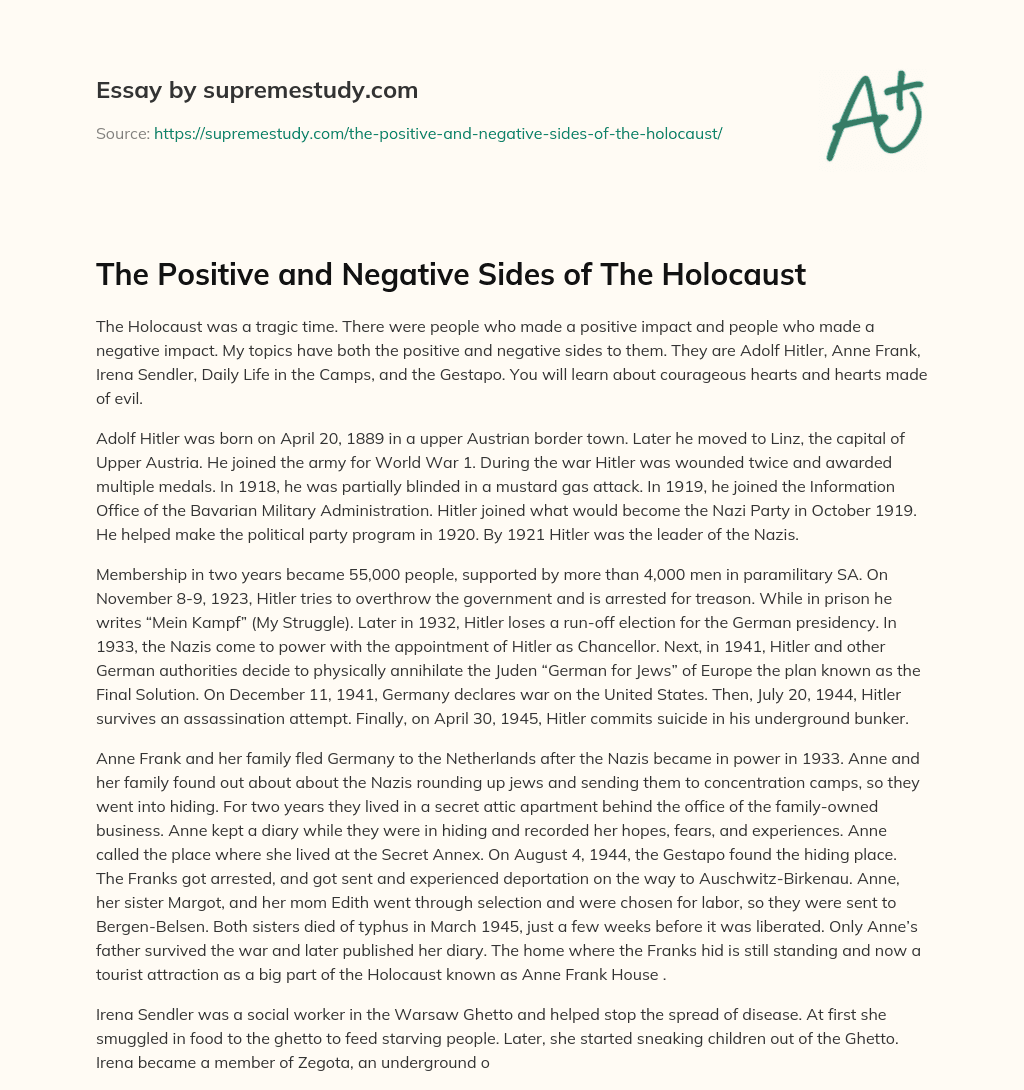 The Positive and Negative Sides of The Holocaust essay
