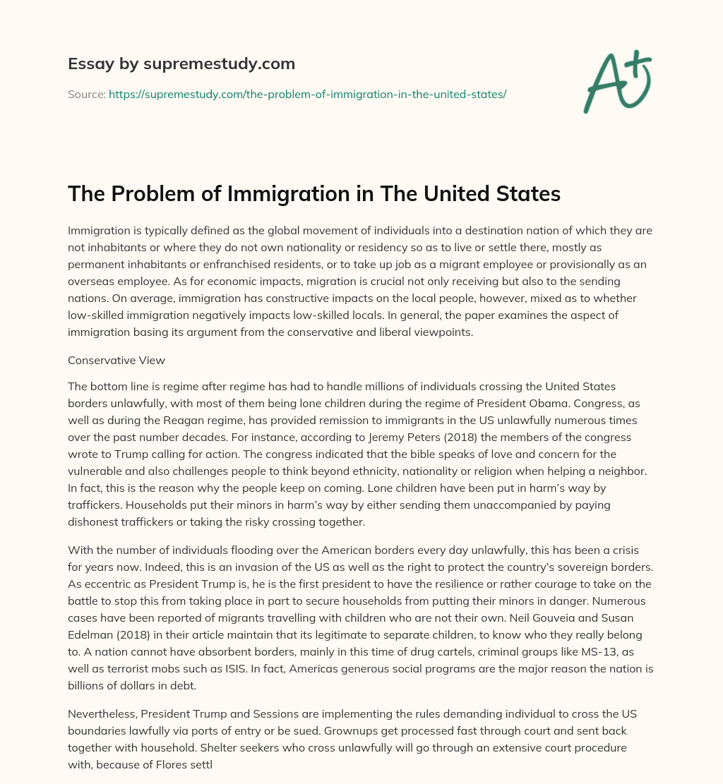 The Problem of Immigration in The United States essay