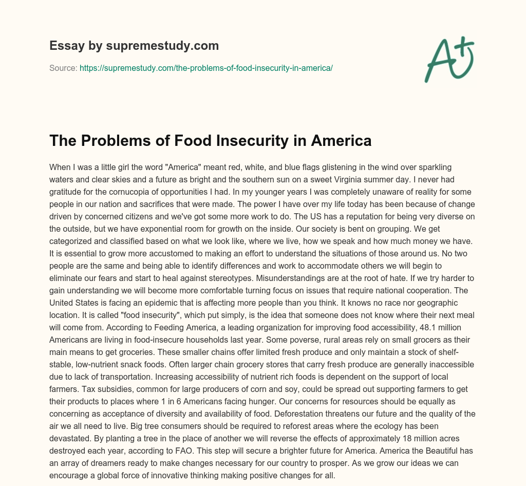 The Problems of Food Insecurity in America essay