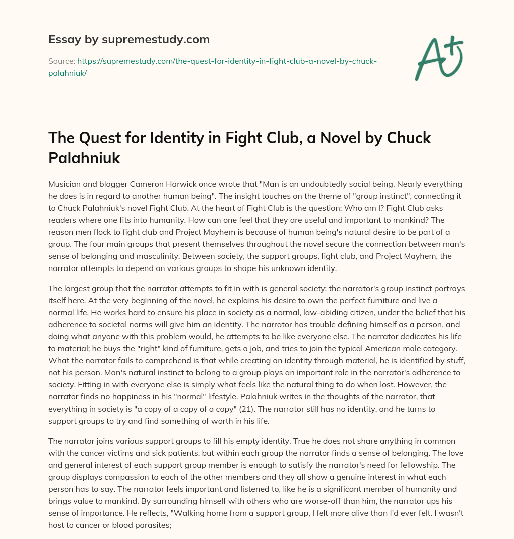 The Quest for Identity in Fight Club, a Novel by Chuck Palahniuk essay