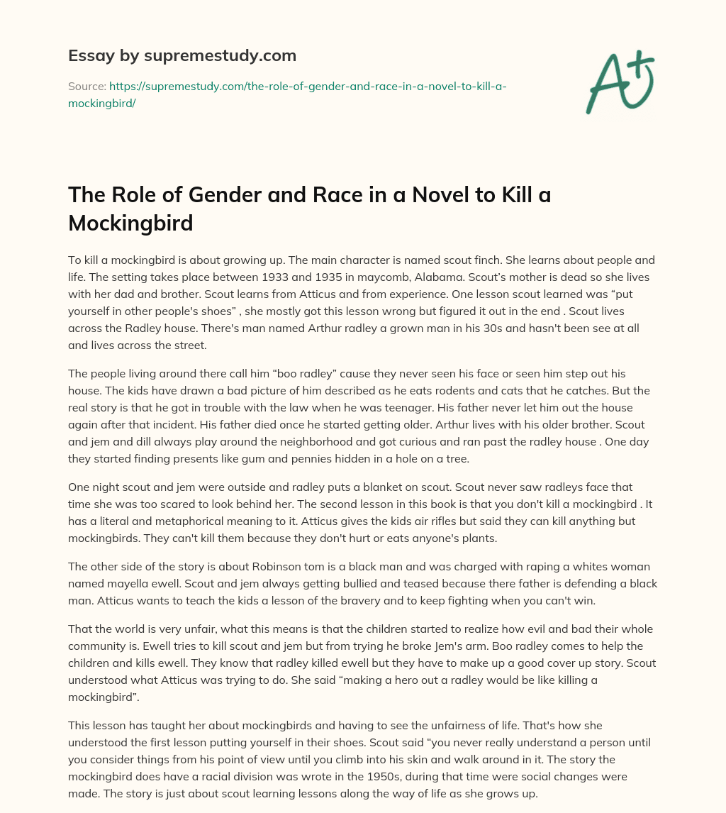 The Role of Gender and Race in a Novel to Kill a Mockingbird essay