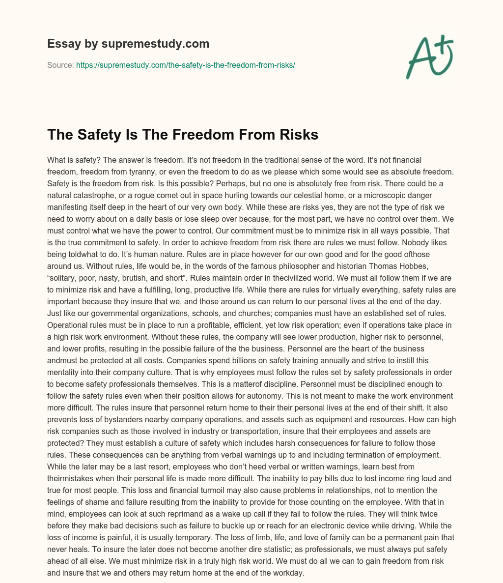 The Safety Is The Freedom From Risks essay