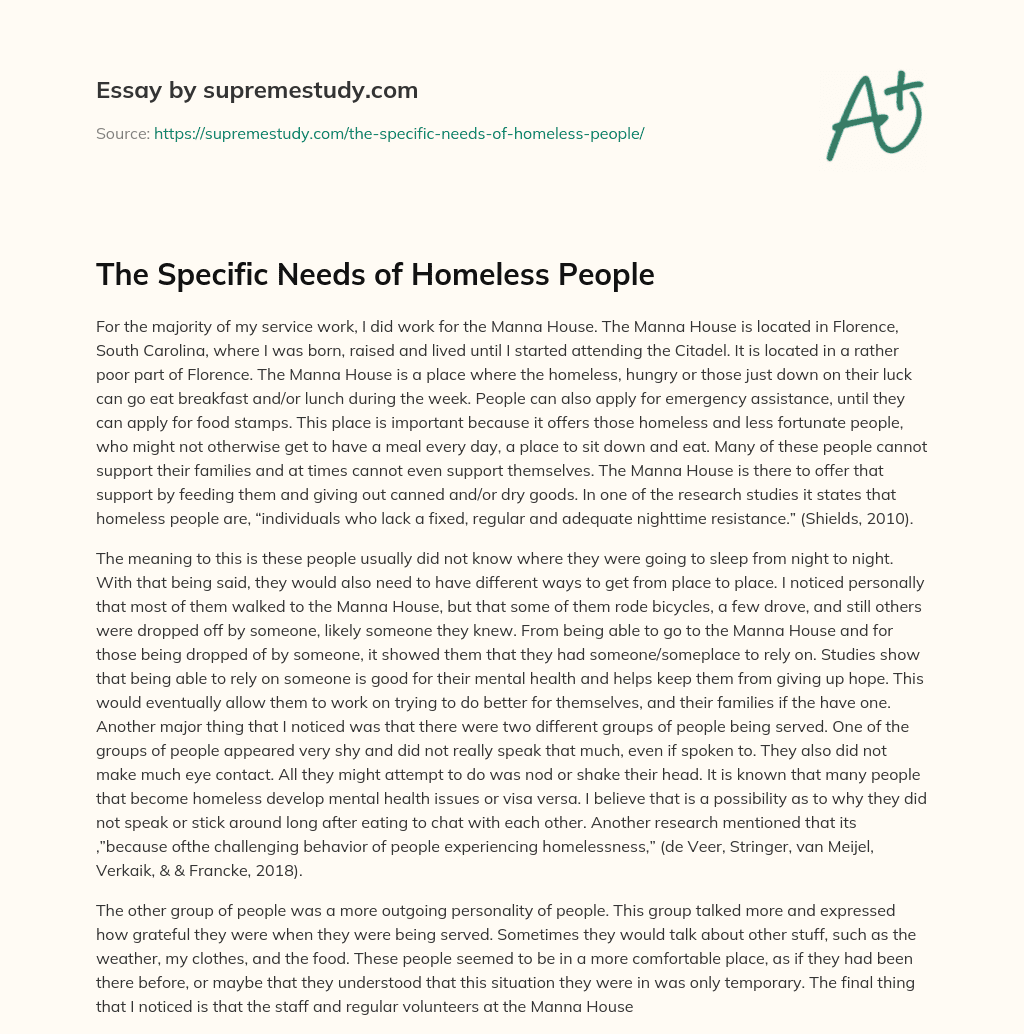 The Specific Needs of Homeless People essay