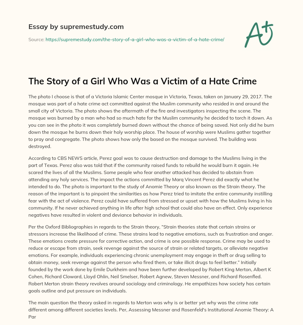 The Story of a Girl Who Was a Victim of a Hate Crime essay