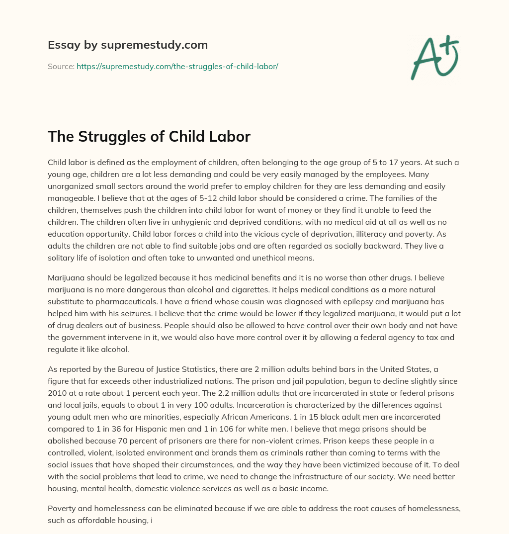 The Struggles of Child Labor essay