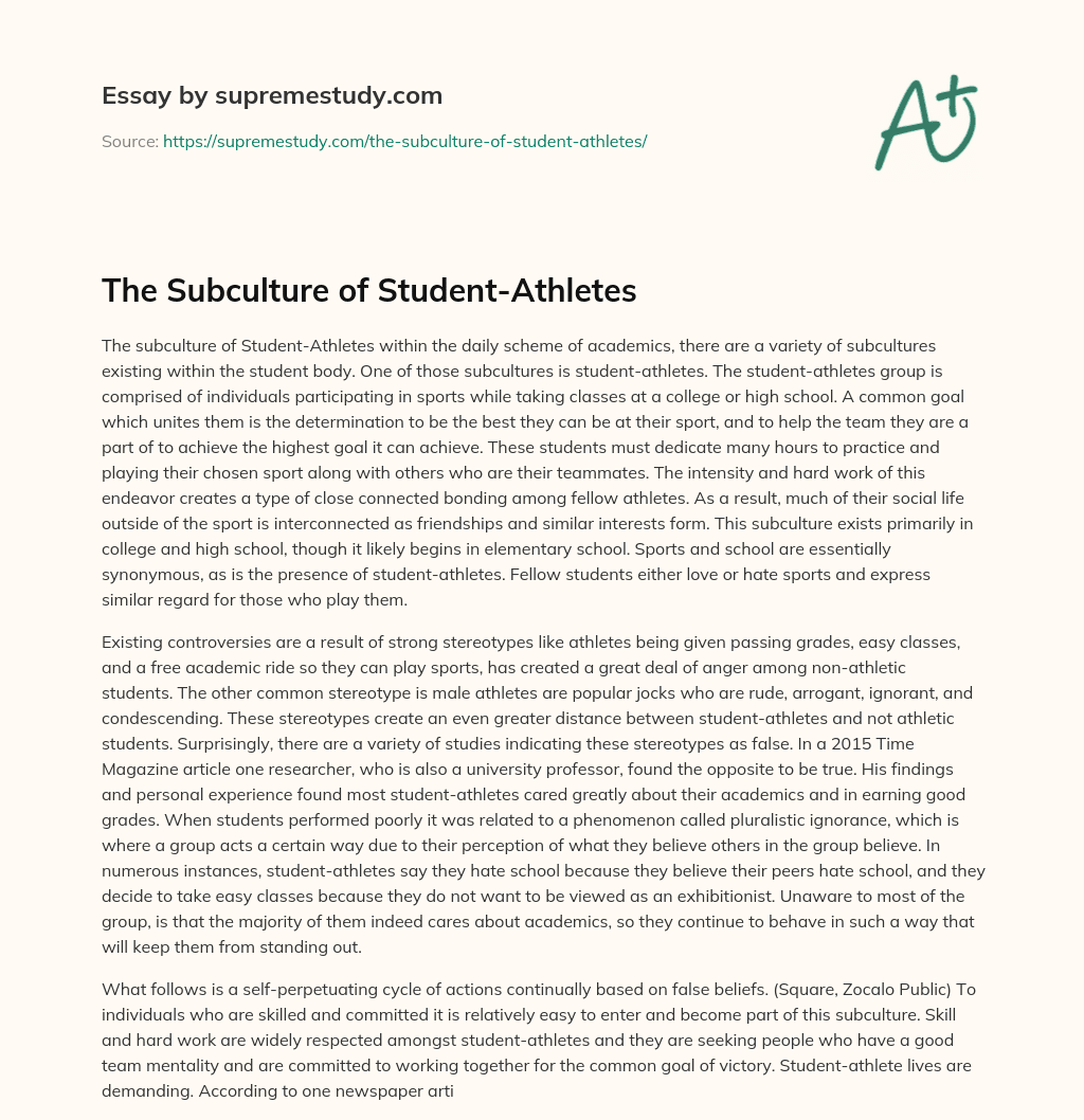 The Subculture of Student-Athletes essay