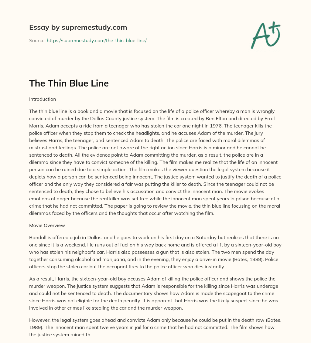 The Thin Blue Line essay