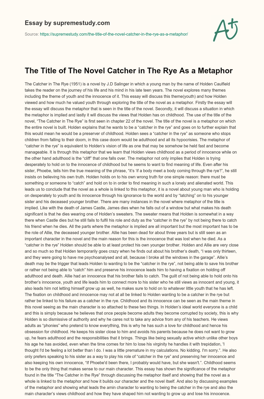 The Title of The Novel Catcher in The Rye As a Metaphor essay