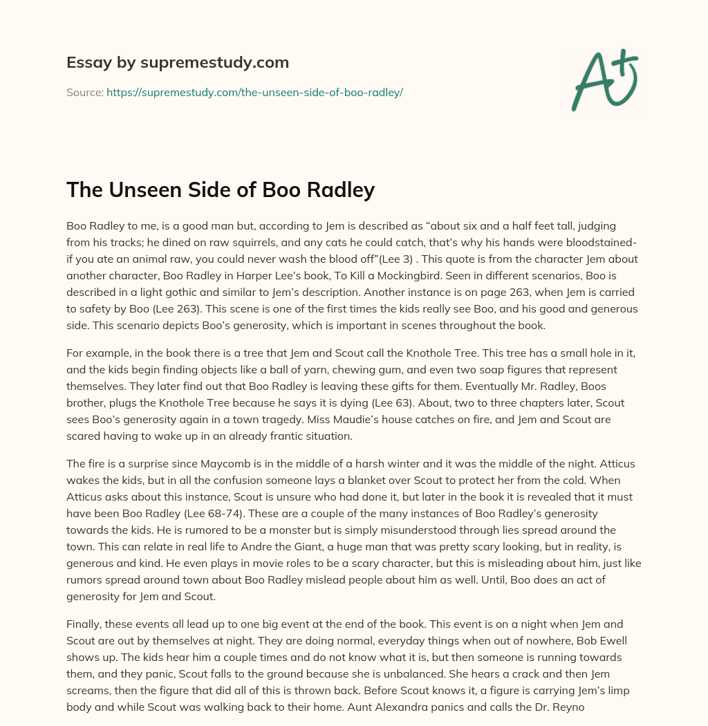 The Unseen Side of Boo Radley  essay