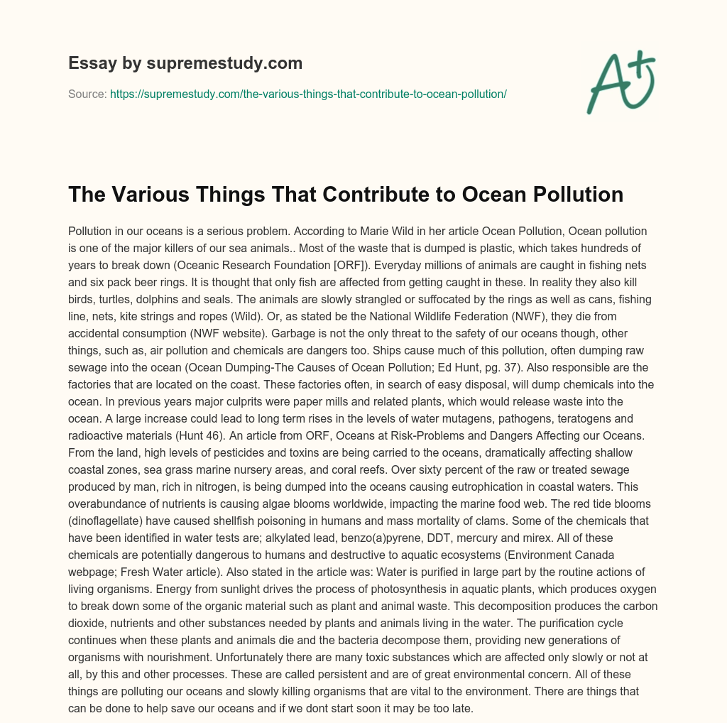 The Various Things That Contribute to Ocean Pollution essay