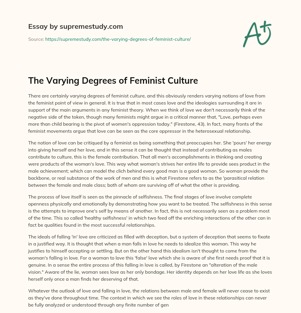 The Varying Degrees of Feminist Culture essay