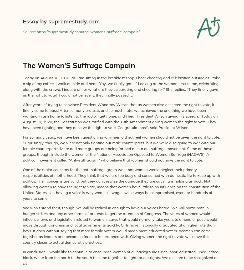 The Women’S Suffrage Campain essay