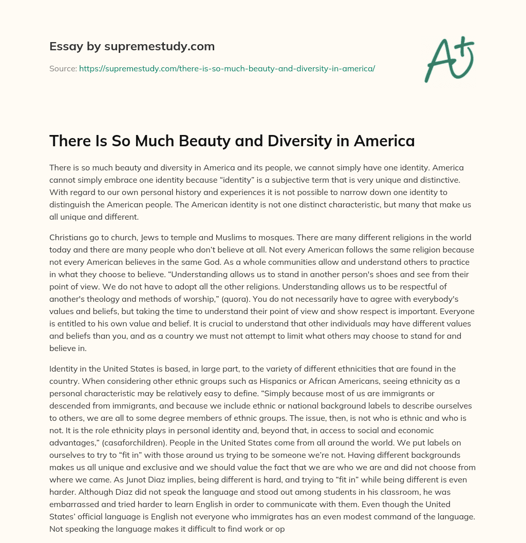 There Is So Much Beauty and Diversity in America essay