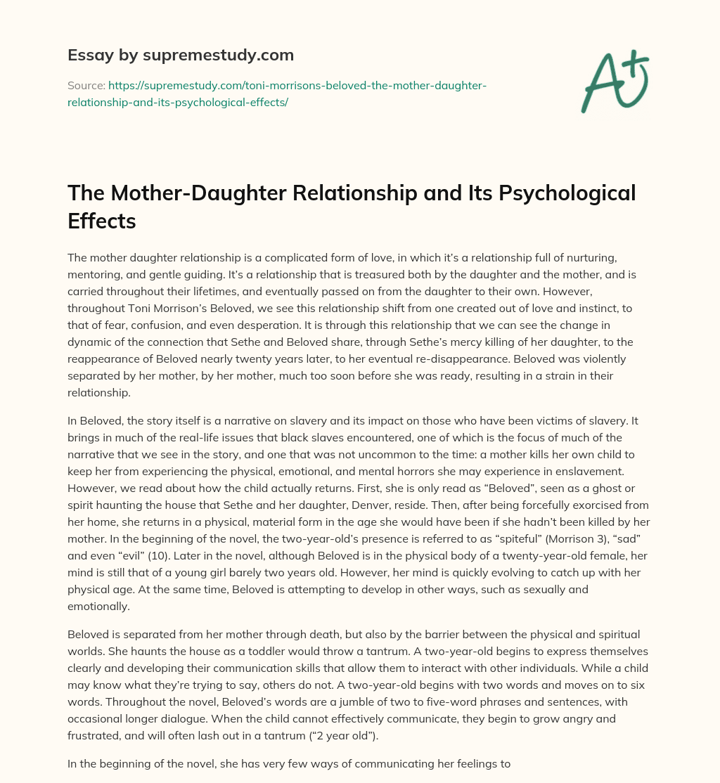 The Mother-Daughter Relationship and Its Psychological Effects essay