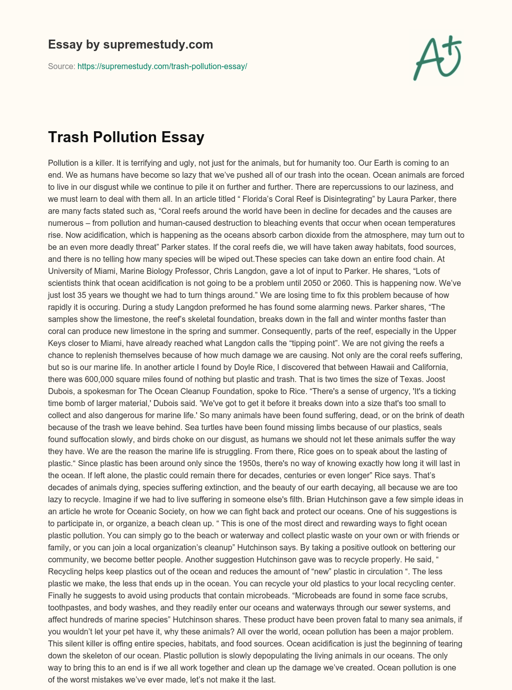 Trash Pollution Essay essay