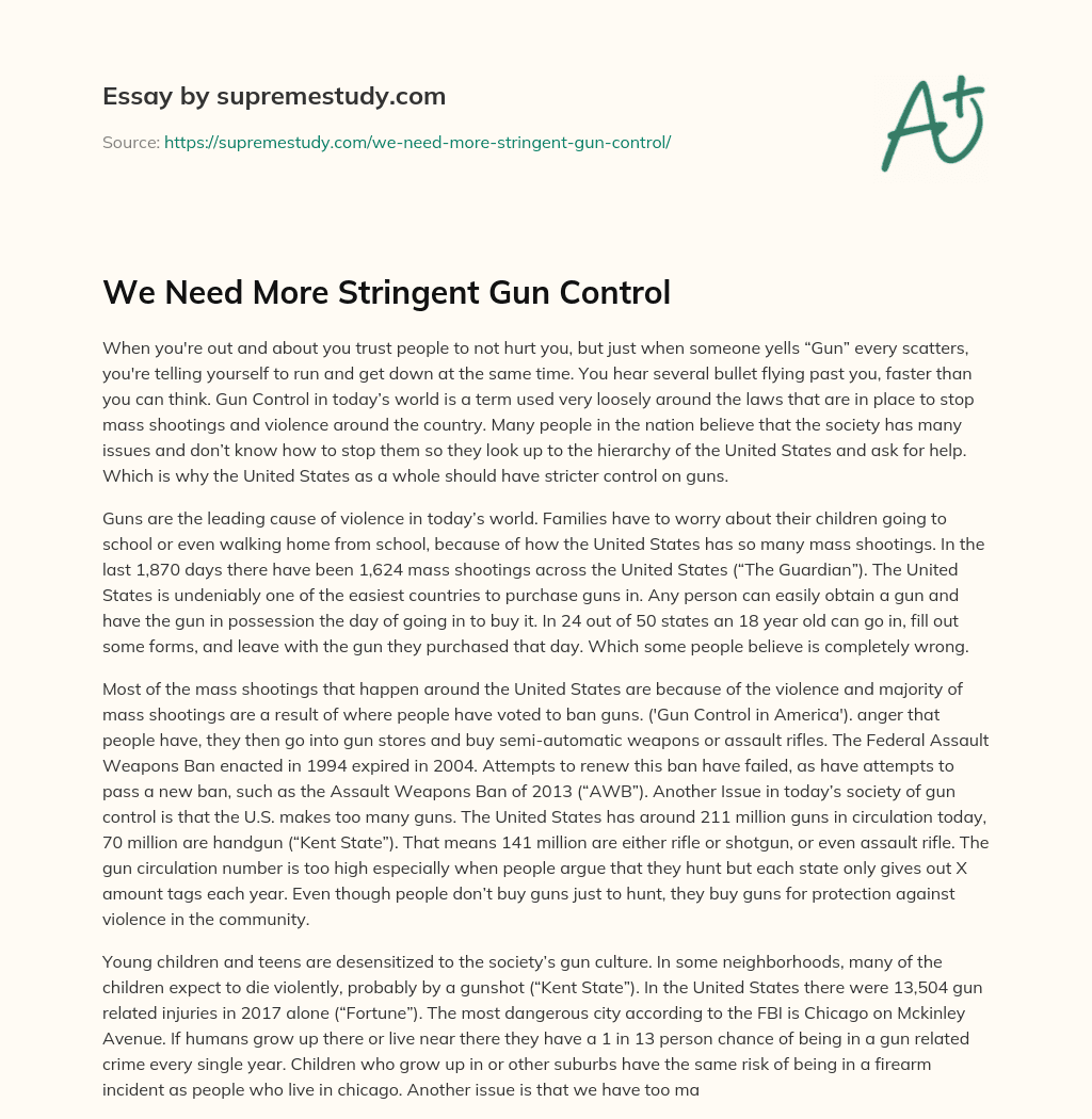 We Need More Stringent Gun Control essay