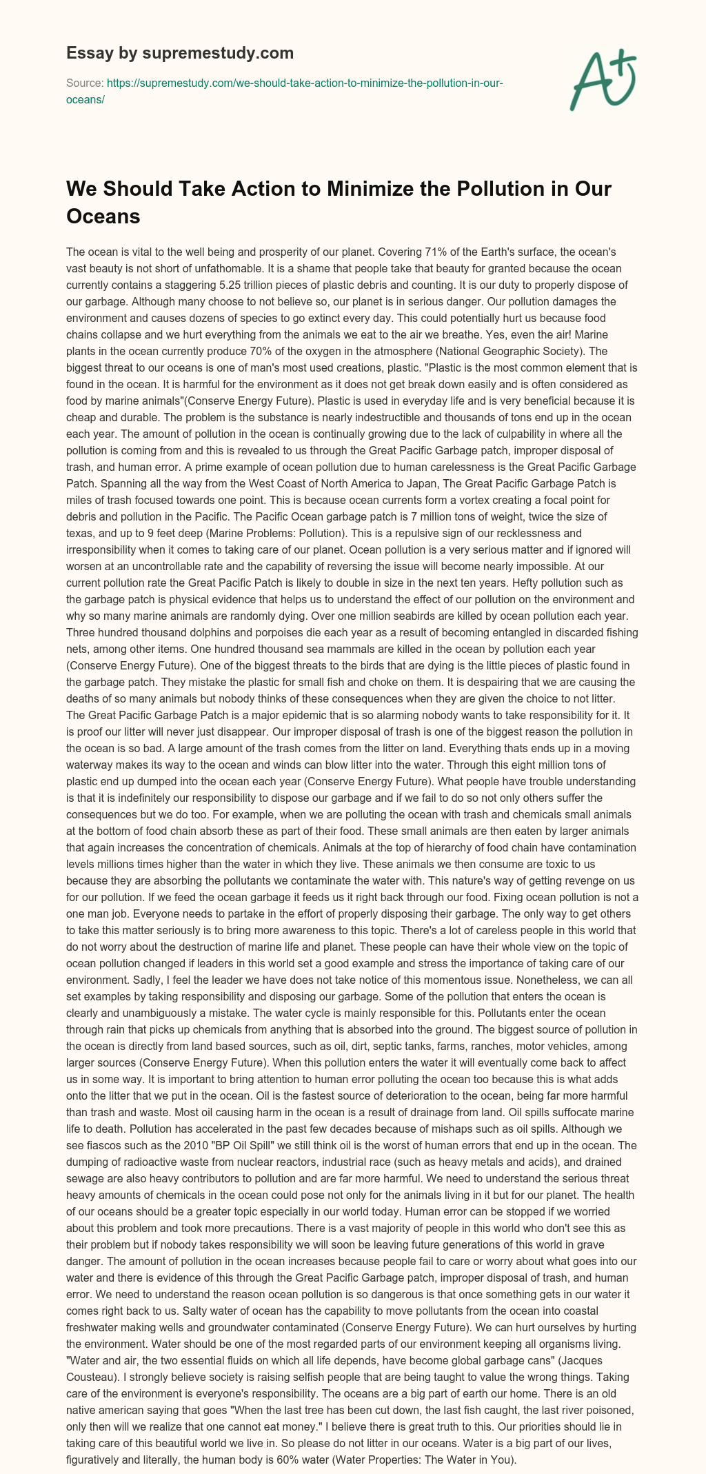 We Should Take Action to Minimize the Pollution in Our Oceans essay