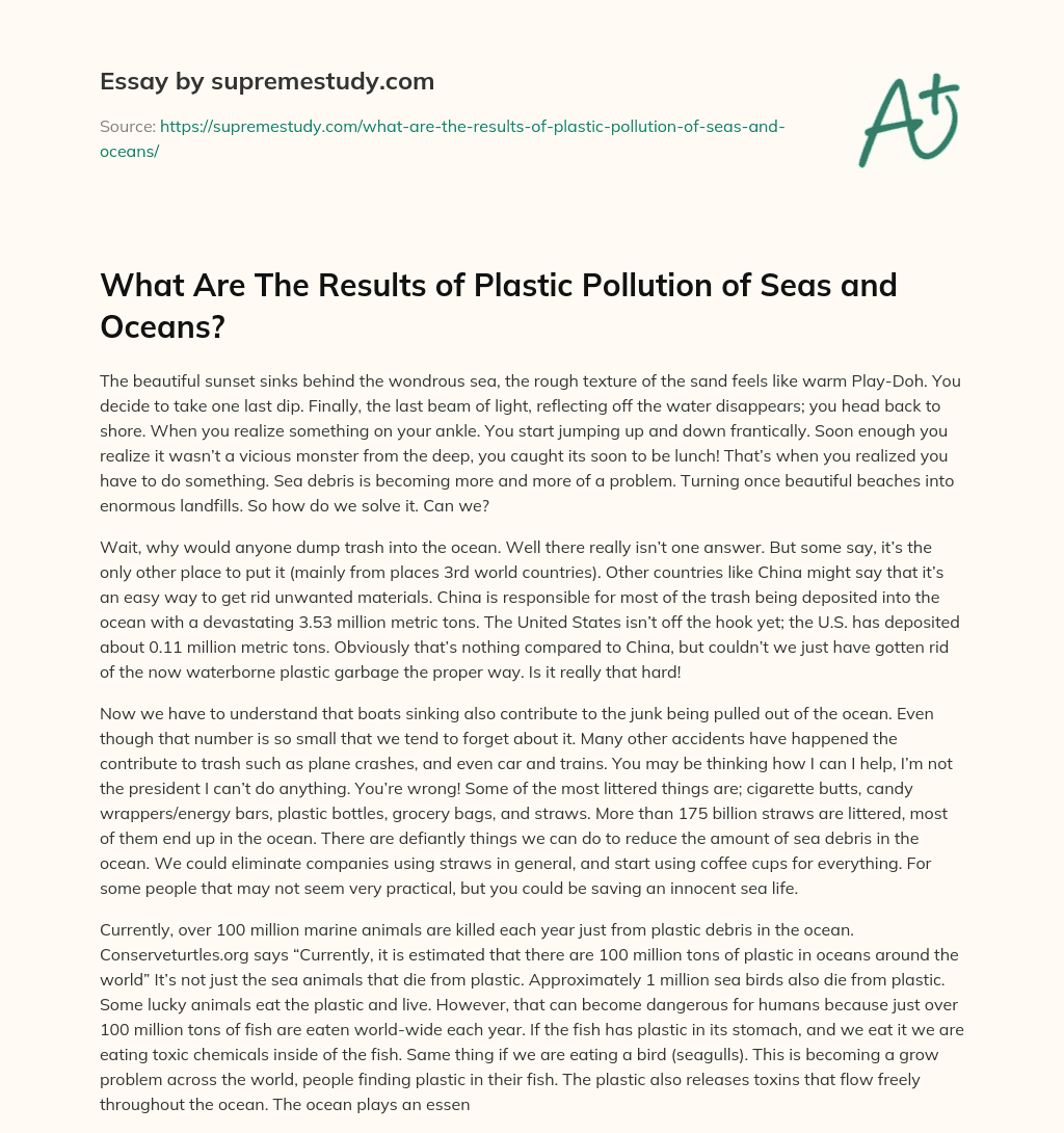 What Are The Results of Plastic Pollution of Seas and Oceans? essay
