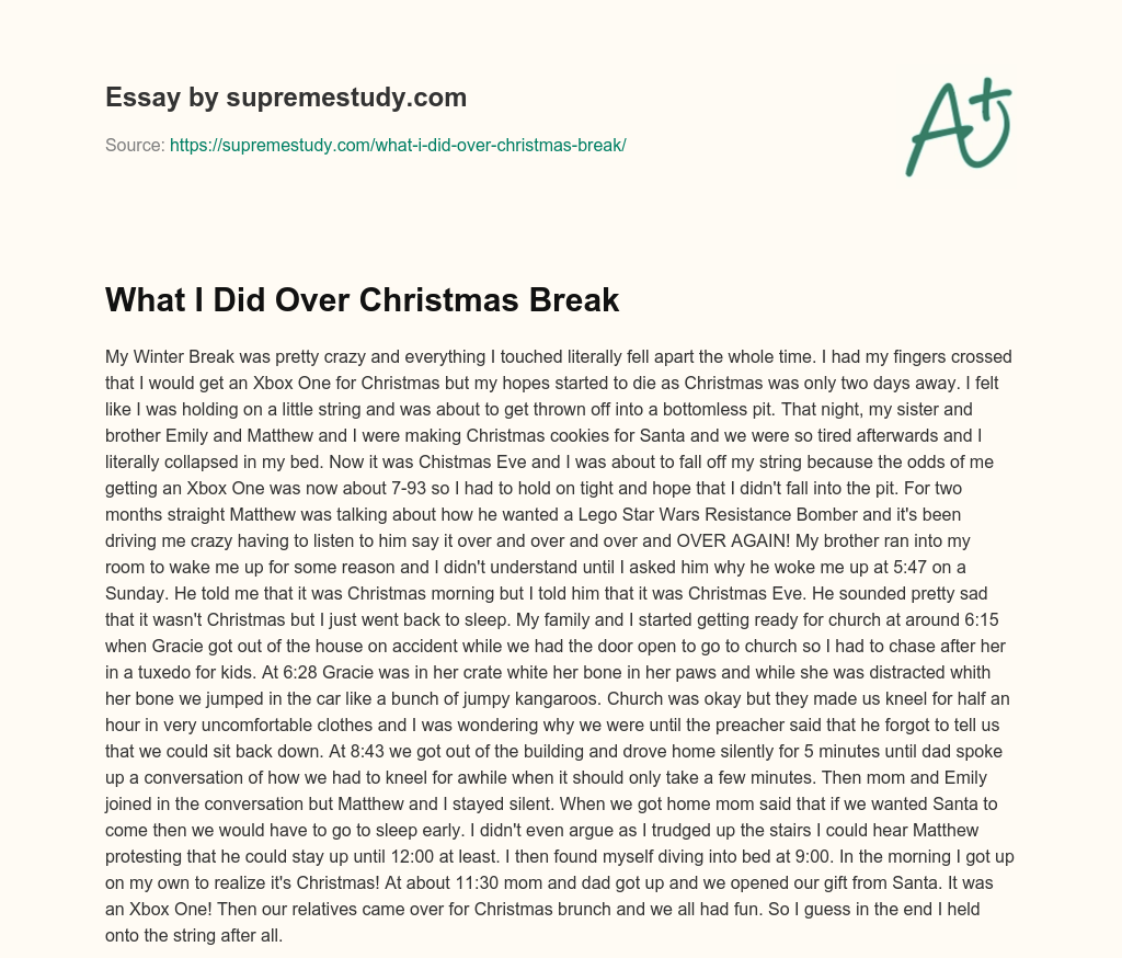 What I Did Over Christmas Break essay