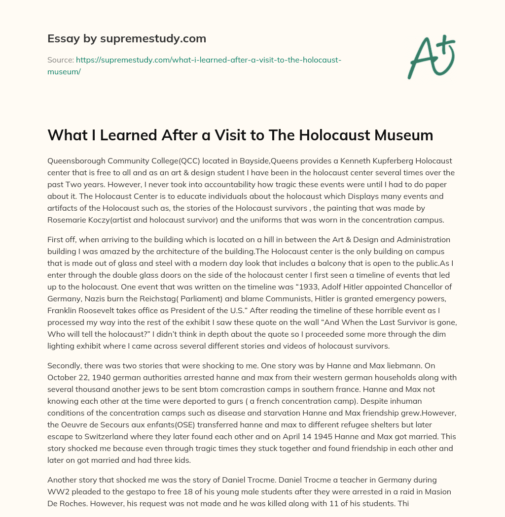 What I Learned After a Visit to The Holocaust Museum essay