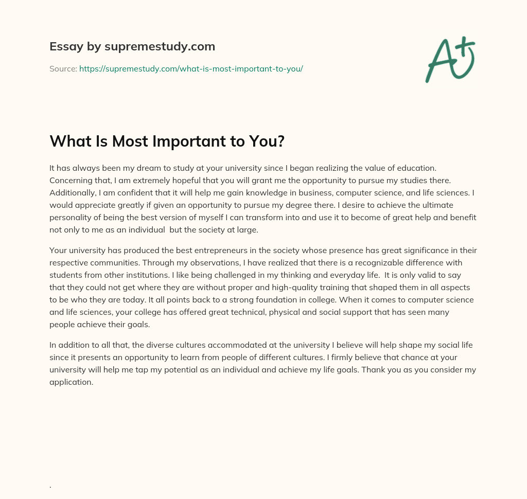 What Is Most Important to You? essay