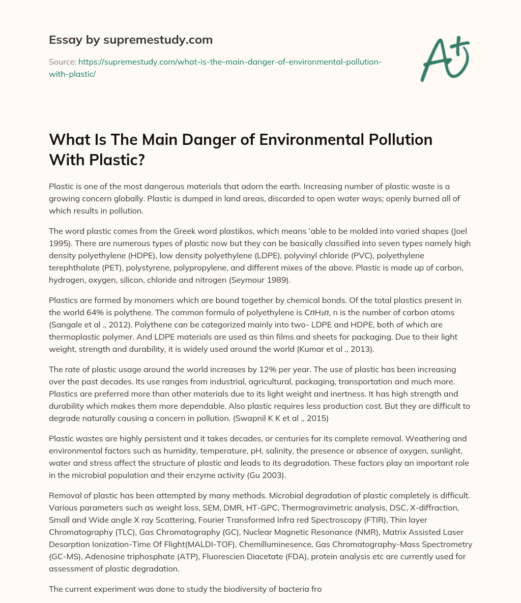 What Is The Main Danger of Environmental Pollution With Plastic? essay