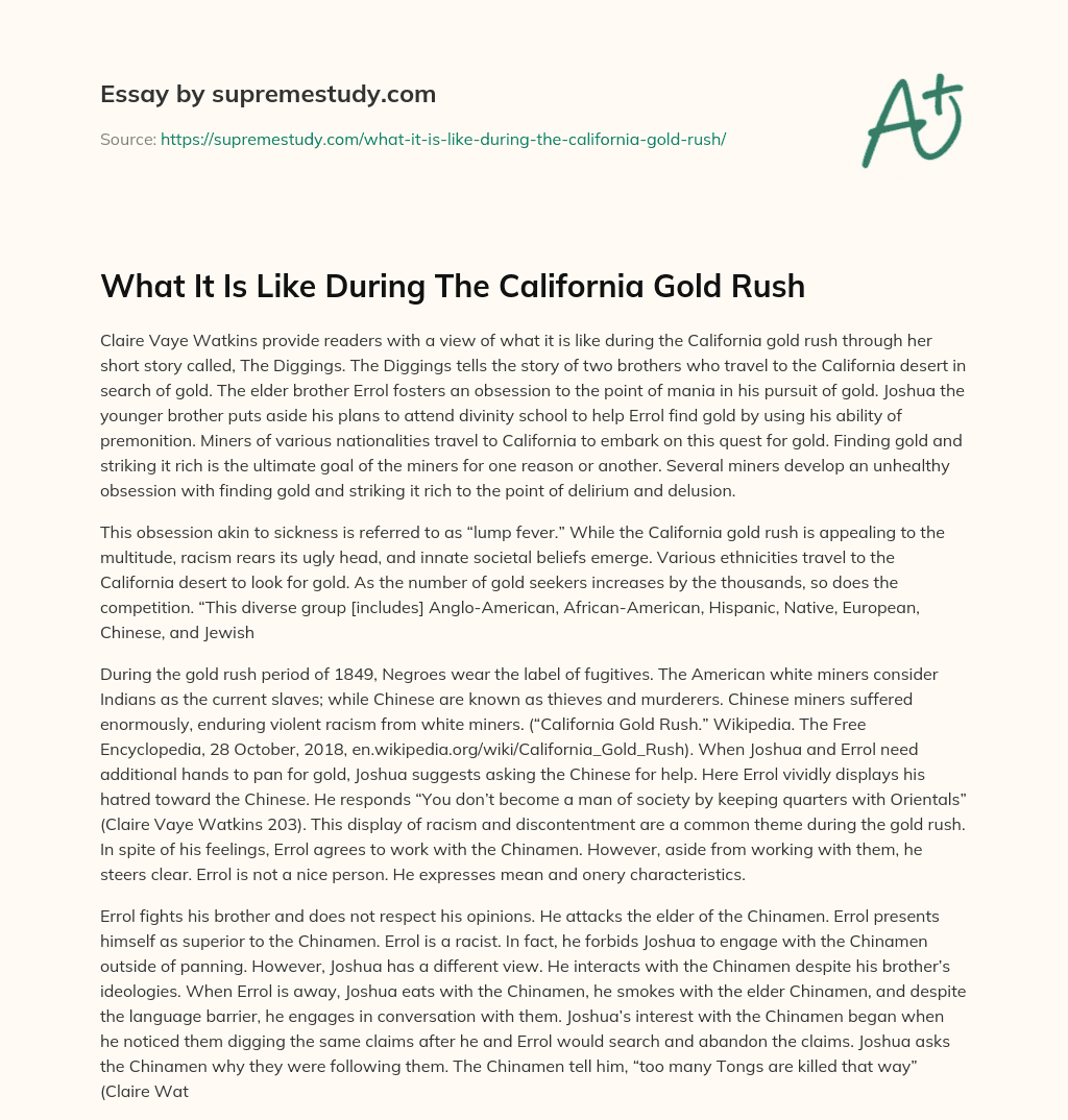 What It Is Like During The California Gold Rush essay